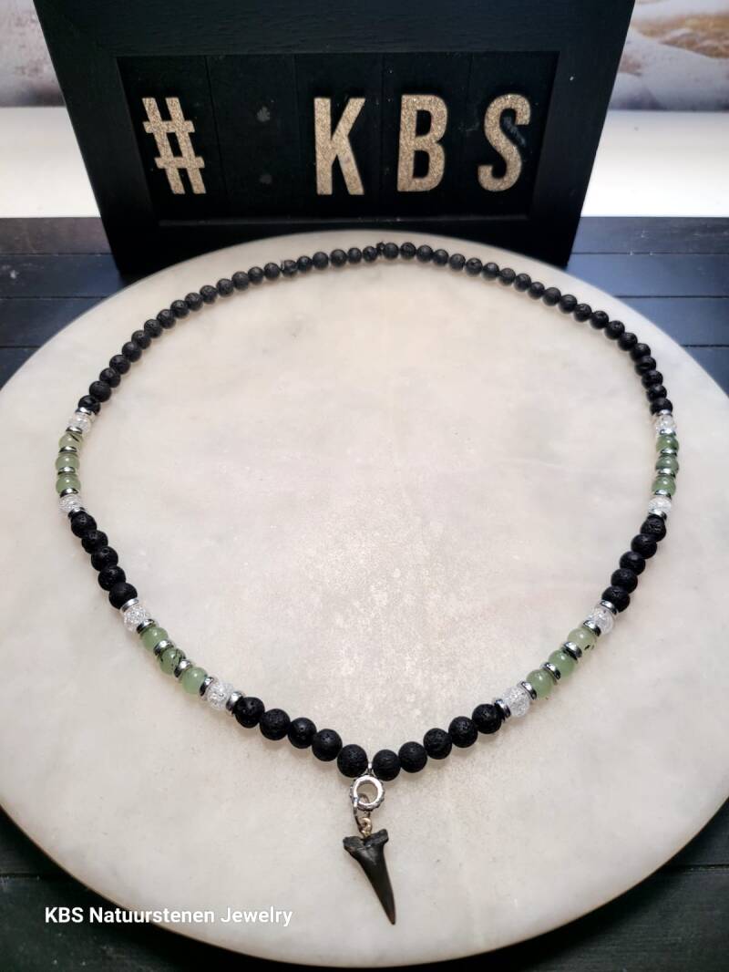 KBS Shark