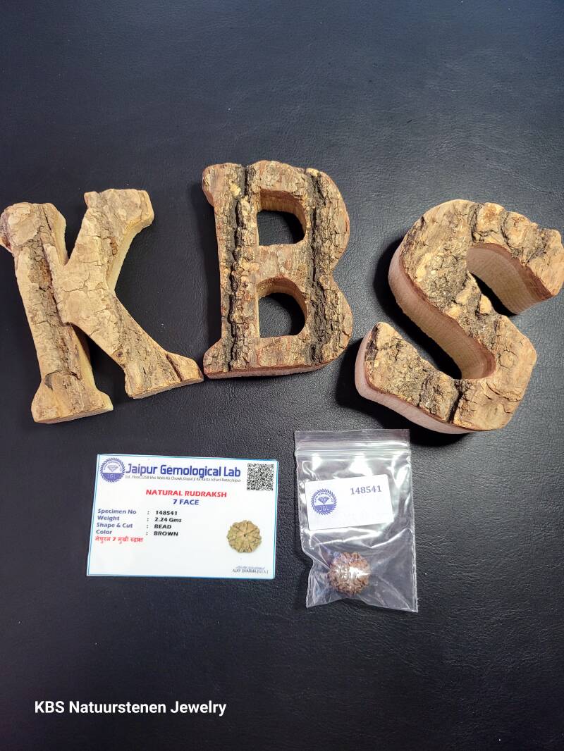 KBS Rudraksha Stone