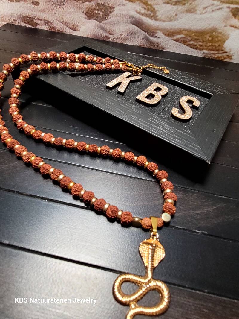 KBS Shiva