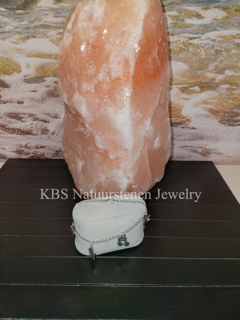 KBS Zilver Bedeltje