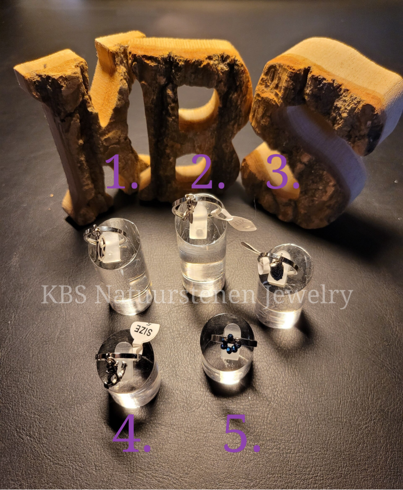 KBS Ringen.3
