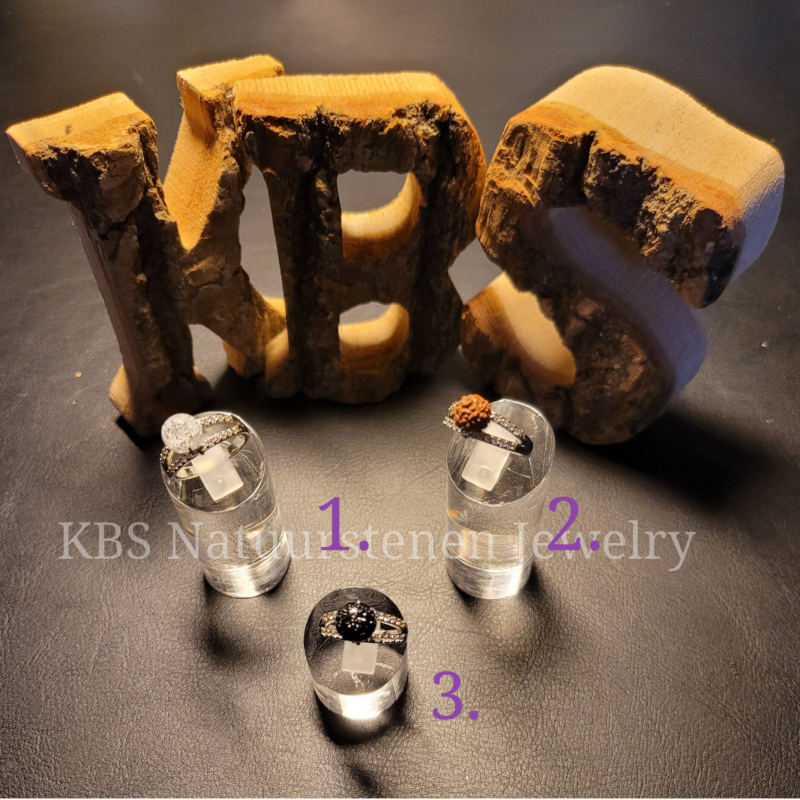 KBS Ringen.4