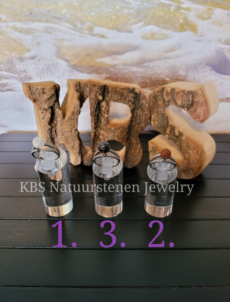 KBS Ringen.4