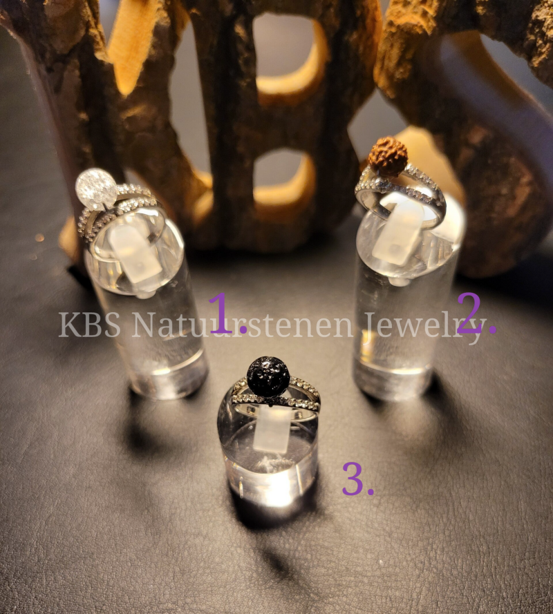 KBS Ringen.4