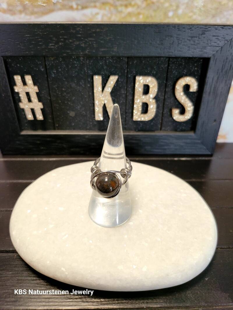 KBS Ringen.10