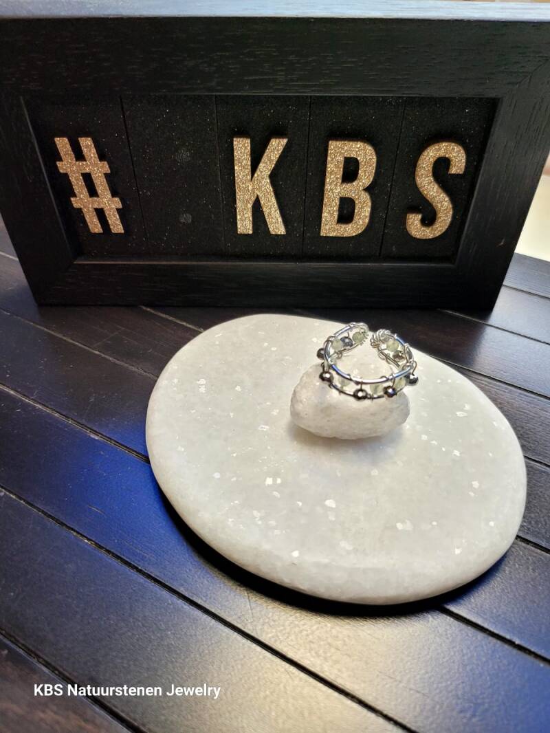 KBS Ringen.29