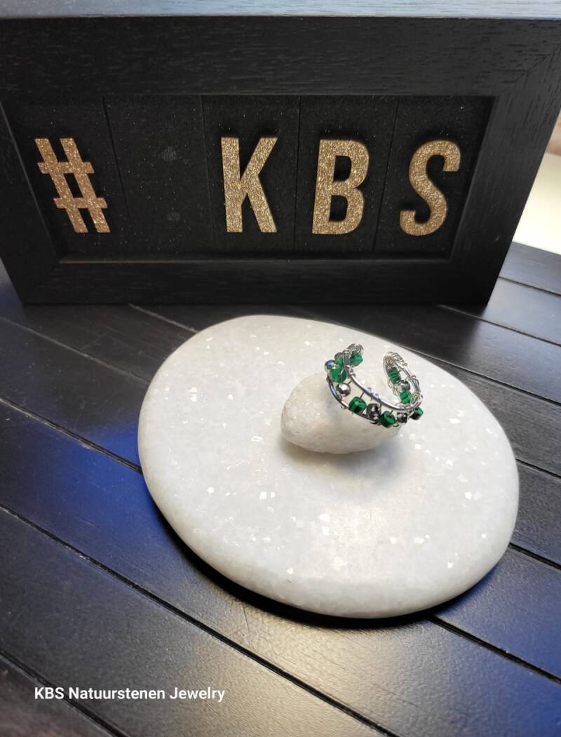 KBS Ringen.24
