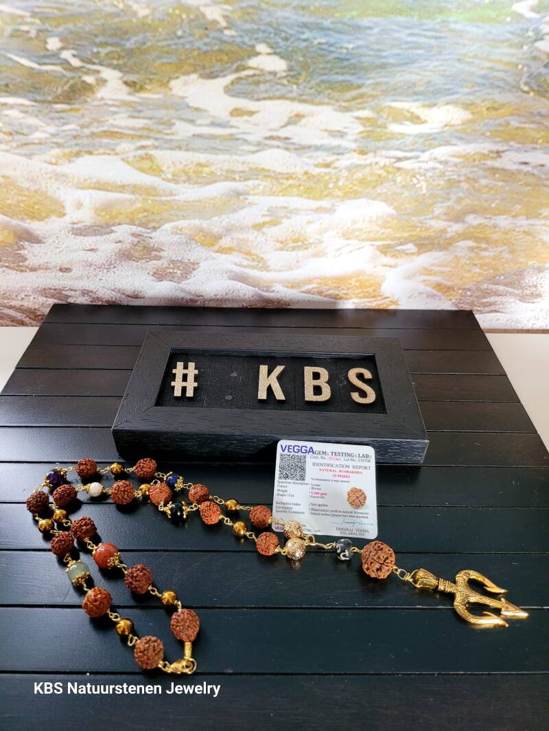 KBS Rudraksha Healing