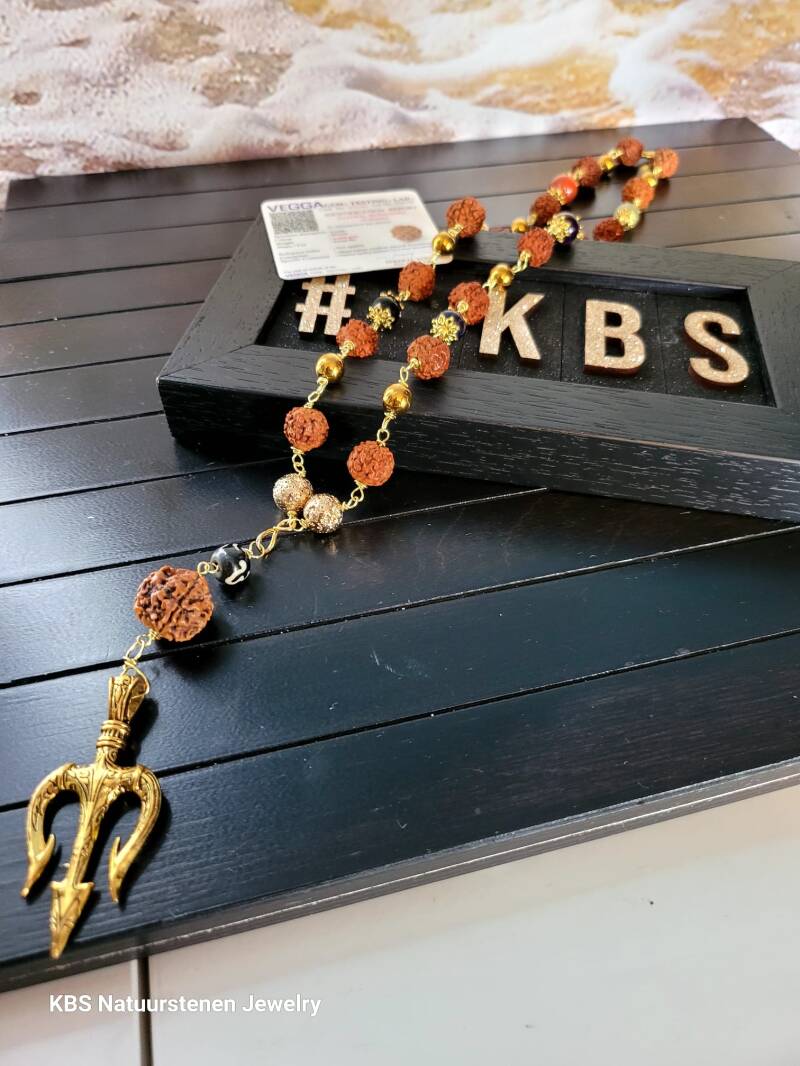 KBS Rudraksha Healing